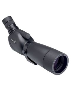 CC3968:6016286-63064e8bbea85