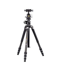 WA1222:21002856-608d1c1a09a28