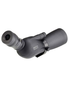 WA1724:21003900-6213c52c0f39b