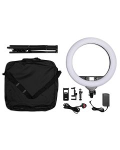 WA1873:21004211-62d2e08872d28