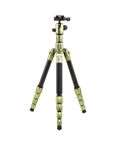 WA2101:21004737-644273c590232