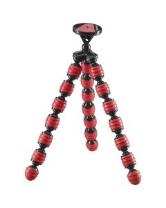 WA2299:21005148-655232fe61ab0