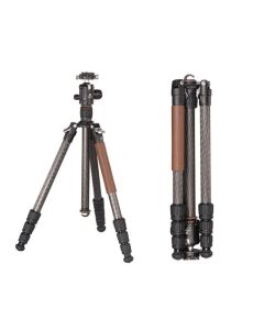 YA1755:27003735-642a9ccce488e