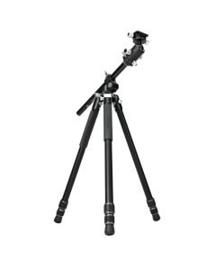 YA1785:27003806-644a361297623