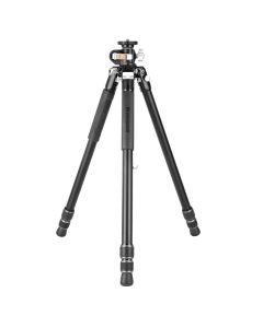 YA1786:27003808-644a3615e8b26