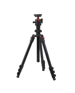 YA2381:27005047-65afc68467d1e