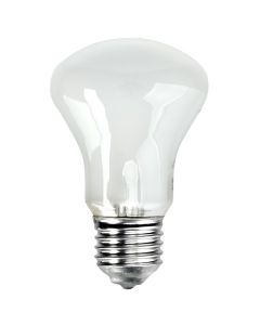 Elinchrom 100w Tungsten Modelling Bulb
