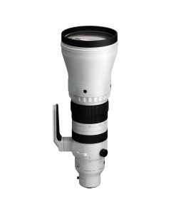 Sigma 300-600mm f4 DG OS Sports Lens - L-Mount