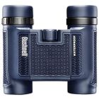 DS0058:9005683-604f8101166a2