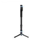 YA0833:27001833-613b224b4c0f4