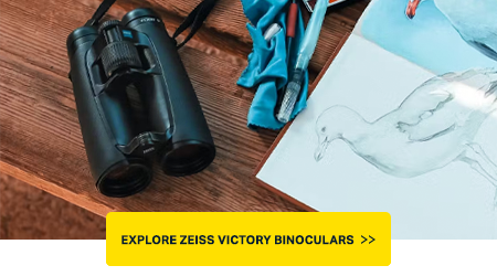 Zeiss Victory Binoculars